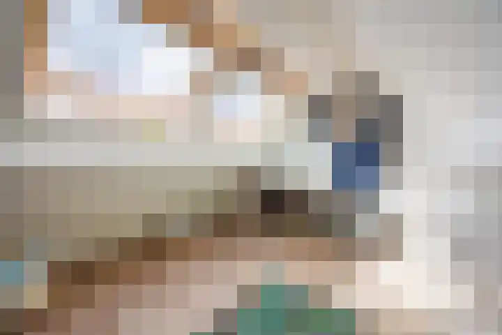 Slinger 73 Beuningen Gld thumbnail 41