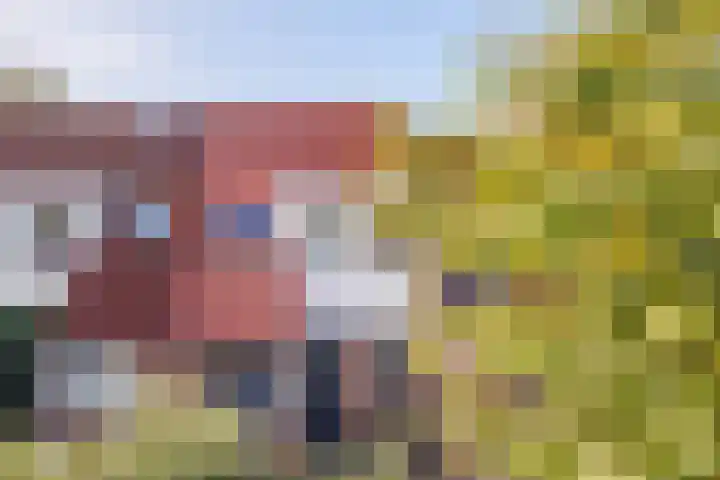 Slinger 73 Beuningen Gld thumbnail 43