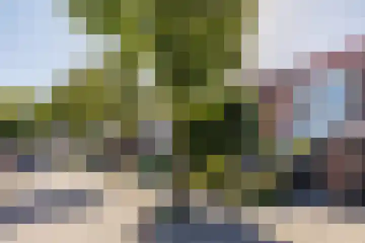 Slinger 73 Beuningen Gld thumbnail 45