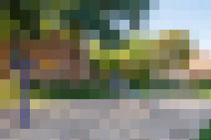 Slinger 73 Beuningen Gld thumbnail 48