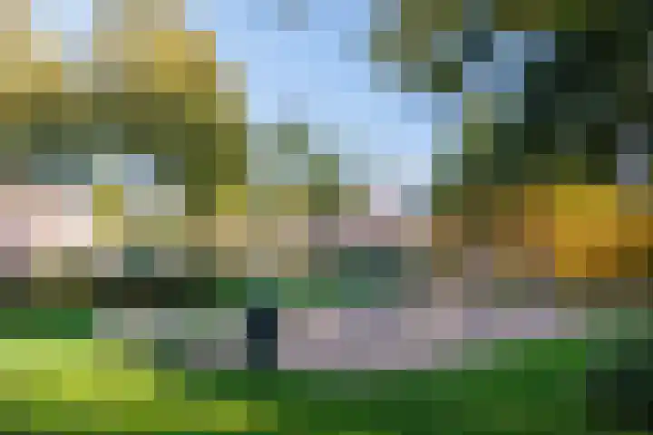 Slinger 73 Beuningen Gld thumbnail 49