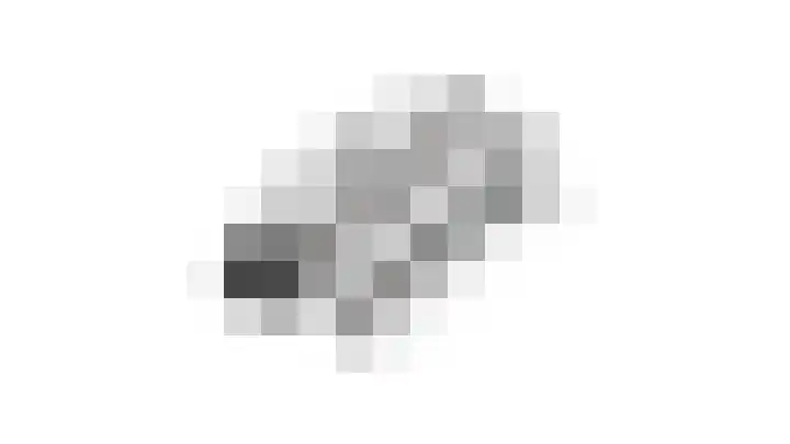 Slinger 73 Beuningen Gld thumbnail 53