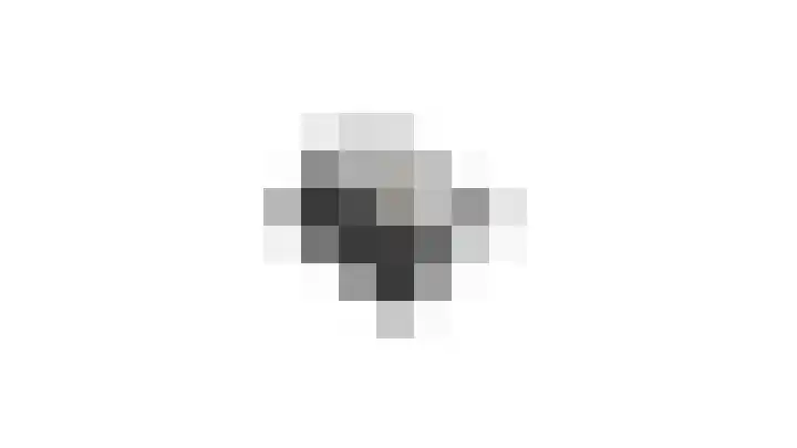 Slinger 73 Beuningen Gld thumbnail 55