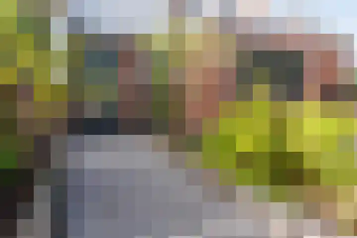 Slinger 73 Beuningen Gld thumbnail 6