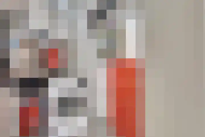 Slinger 77 Beuningen Gld thumbnail 24