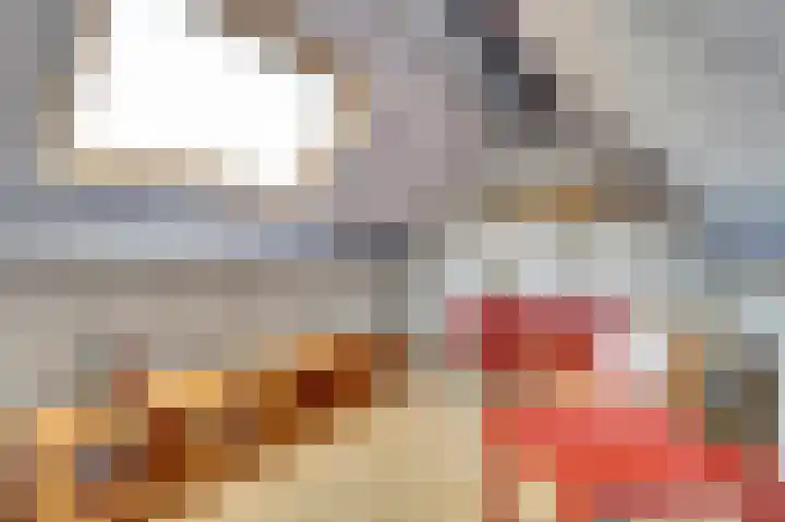 Slinger 77 Beuningen Gld thumbnail 26