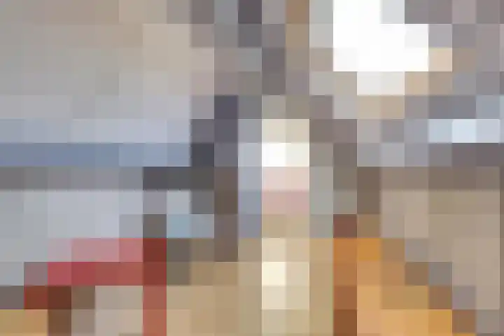 Slinger 77 Beuningen Gld thumbnail 27