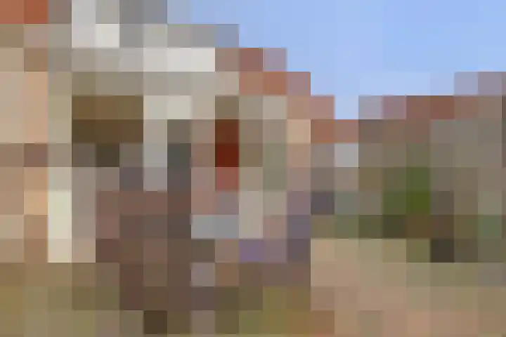 Slinger 77 Beuningen Gld thumbnail 28