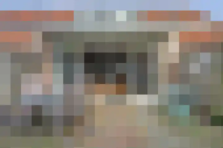 Slinger 77 Beuningen Gld thumbnail 30