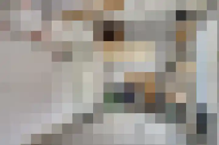 Slinger 77 Beuningen Gld thumbnail 35