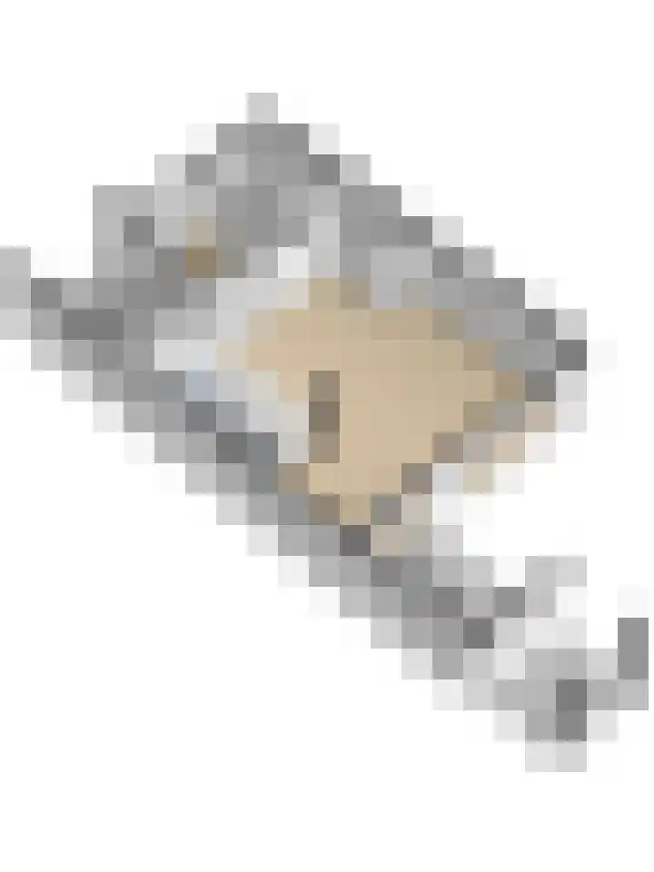 Slingeraklaan 68 Utrecht thumbnail 43