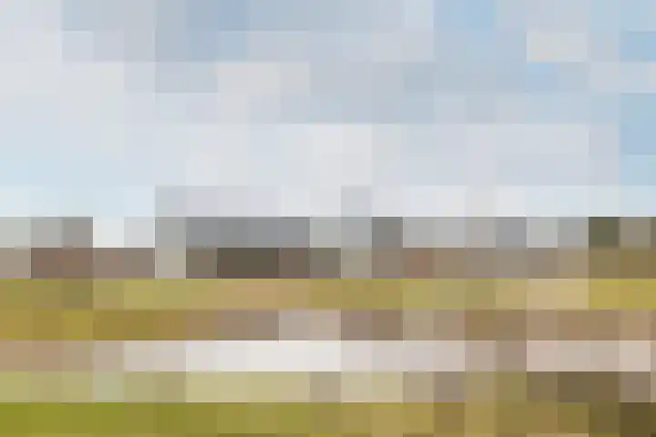 Slingerbos 15 Breda thumbnail 35
