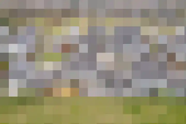 Slingerbos 15 Breda thumbnail 37