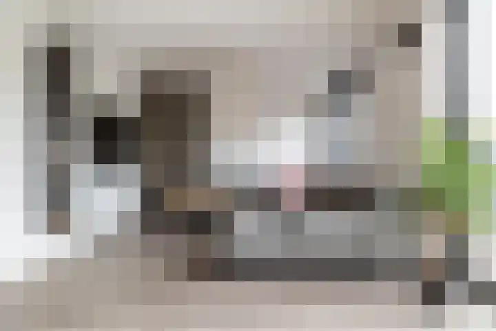 Slingerbos 15 Breda thumbnail 9