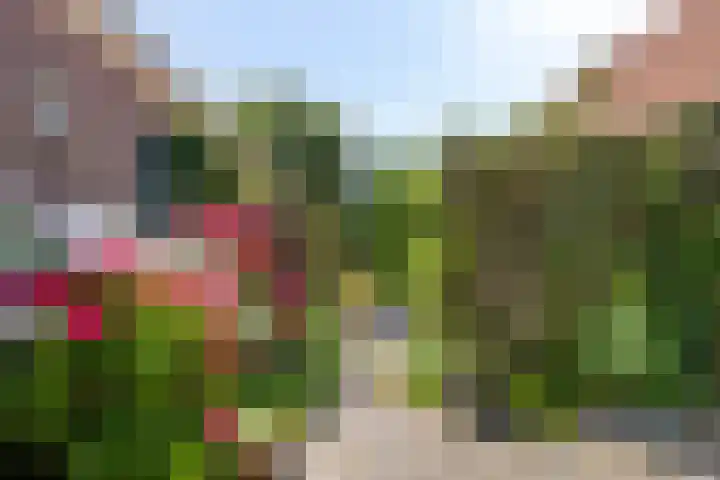 Slingerdijk 3 A Oterleek thumbnail 39