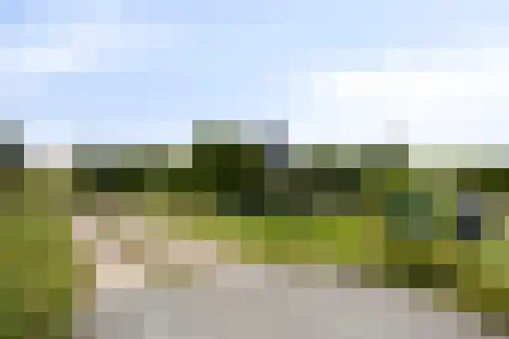 Slingerdijk 3 A Oterleek thumbnail 62