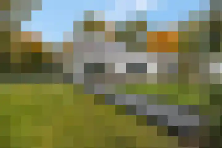 Slingerlaan 15 Otterlo thumbnail 4