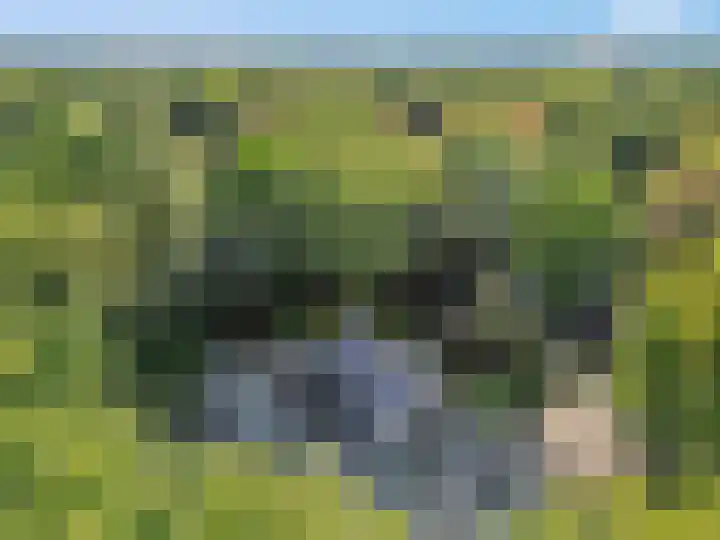 Slingerlaan 3 Otterlo thumbnail 4