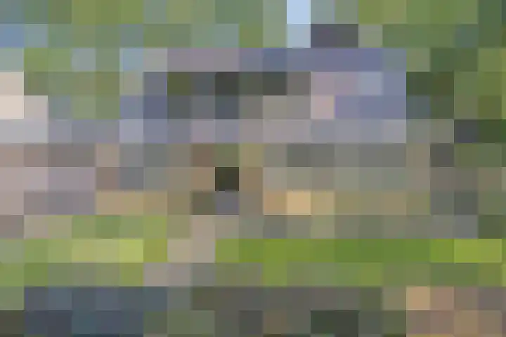 Slingerlaan 3 Otterlo thumbnail 58