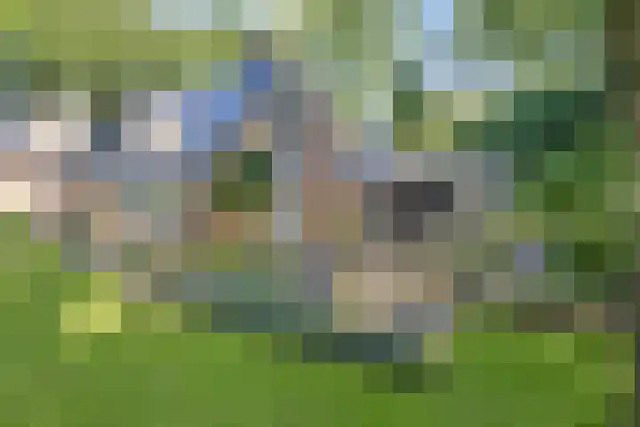 Slingerlaan 3 Otterlo thumbnail 59