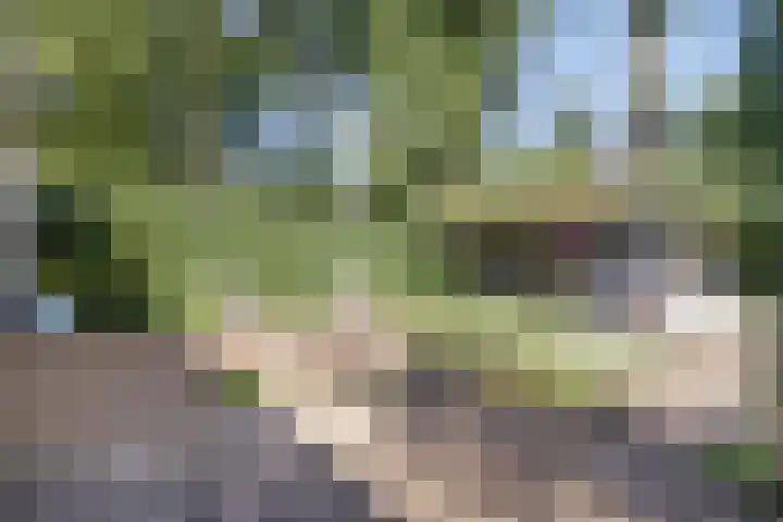 Slingerlaan 3 Otterlo thumbnail 68
