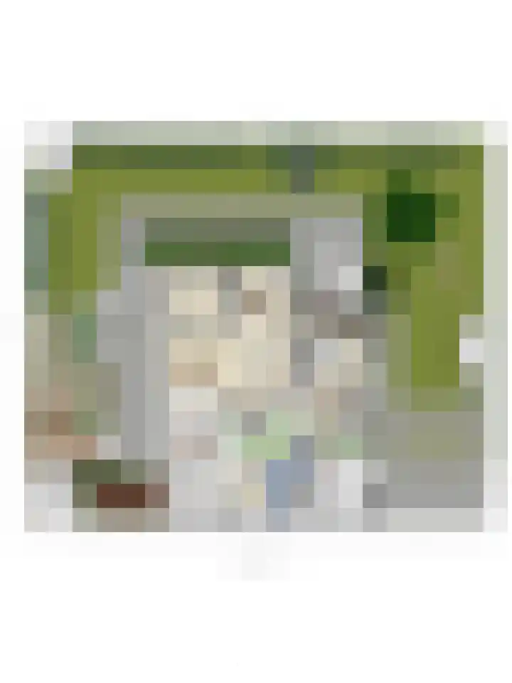 Slingerlaan 3 Otterlo thumbnail 88