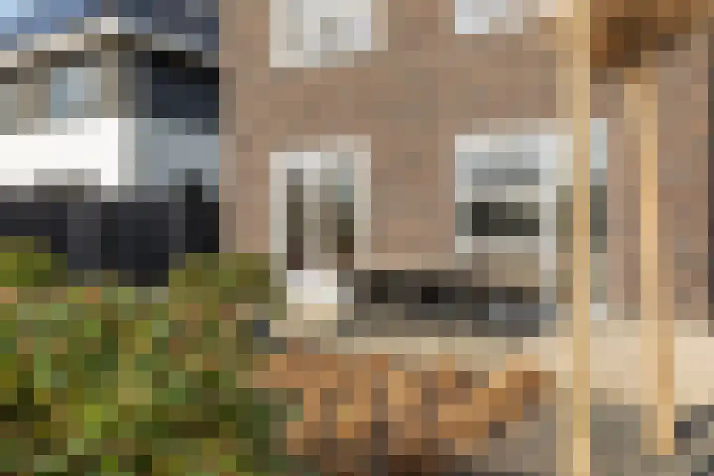 Slipsteek 9 Almere thumbnail 56