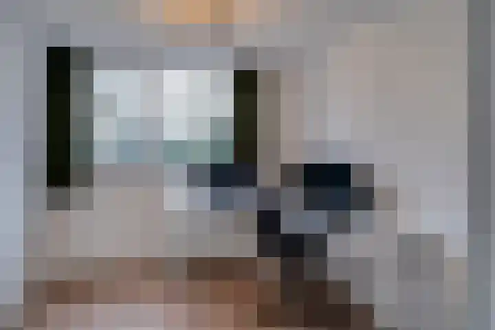 Sloe 14 Deurne thumbnail 17