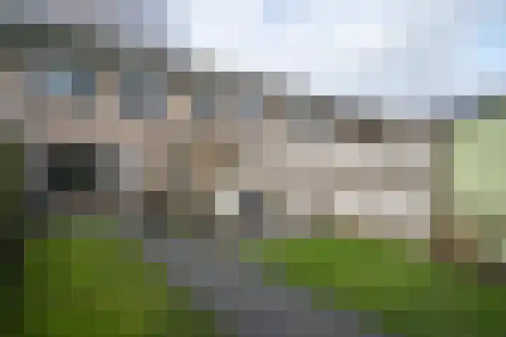 Sloe 14 Deurne thumbnail 27