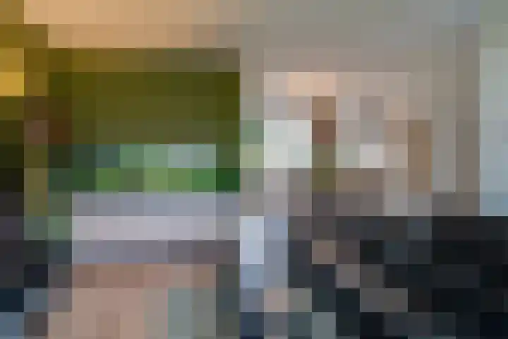 Sloe 14 Deurne thumbnail 7