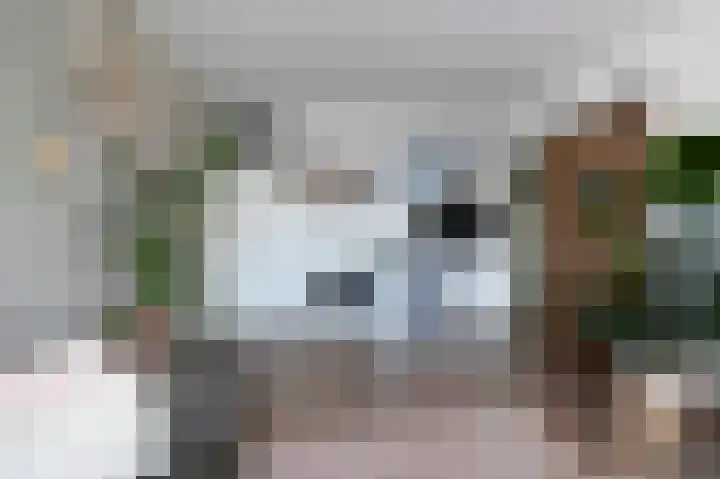 Sloep 142 Groningen thumbnail 12