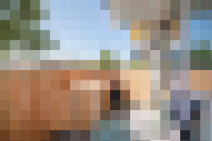 Sloep 142 Groningen thumbnail 36