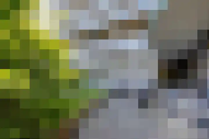 Sloep 142 Groningen thumbnail 51