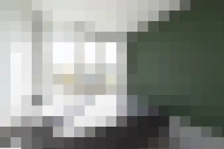 Sloep 155 Groningen thumbnail 14