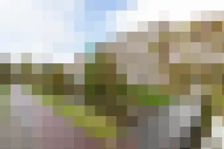 Sloep 155 Groningen thumbnail 22