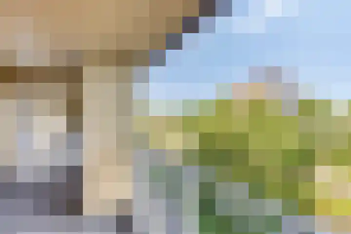 Sloep 178 Groningen thumbnail 11