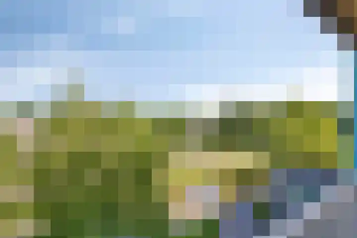 Sloep 178 Groningen thumbnail 12