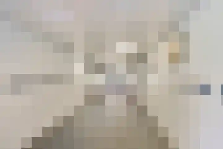 Sloep 178 Groningen thumbnail 9