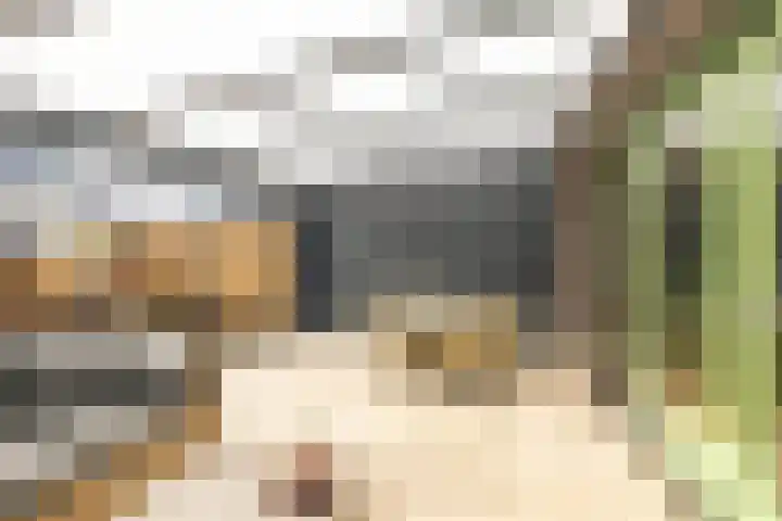Sloep 214 Groningen thumbnail 17