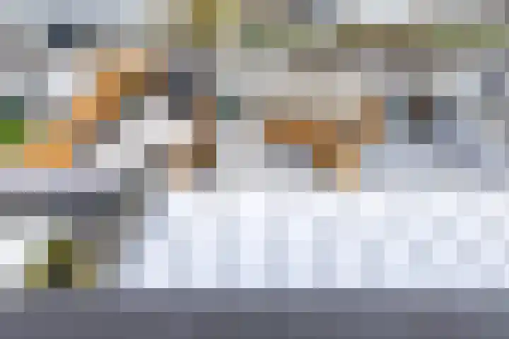 Sloep 214 Groningen thumbnail 48
