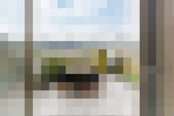 Sloep 227 Groningen thumbnail 22