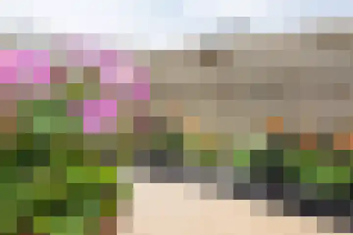 Sloep 227 Groningen thumbnail 24