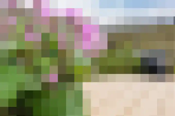 Sloep 227 Groningen thumbnail 25
