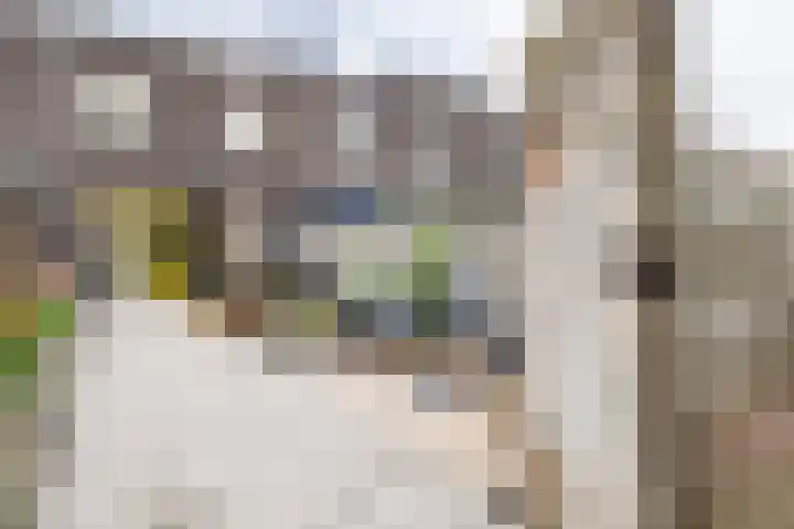 Sloep 227 Groningen thumbnail 28