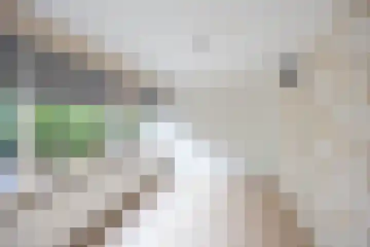 Sloep 45 Groningen thumbnail 20