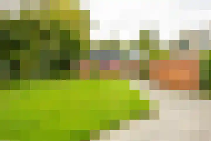 Sloep 45 Groningen thumbnail 32