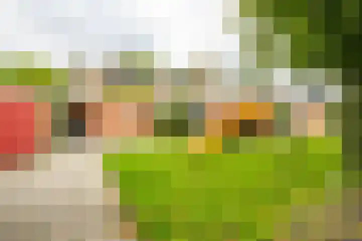 Sloep 45 Groningen thumbnail 33