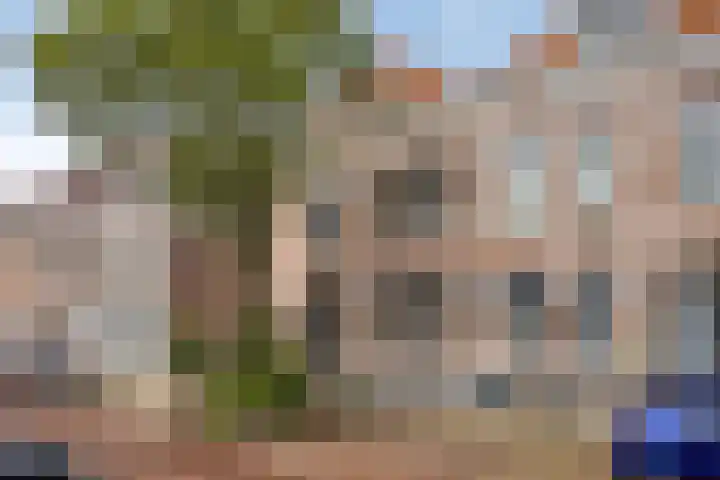 Sloetstraat 64 Arnhem thumbnail 48