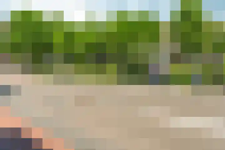 Sloetstraat 97 Arnhem thumbnail 36