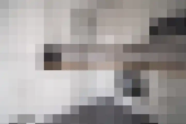 Slootdreef 235 Zoetermeer thumbnail 13